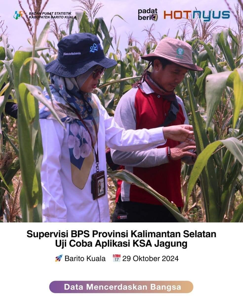 Supervisi BPS Provinsi Kalimantan Selatan Uji Coba Aplikasi KSA Jagung